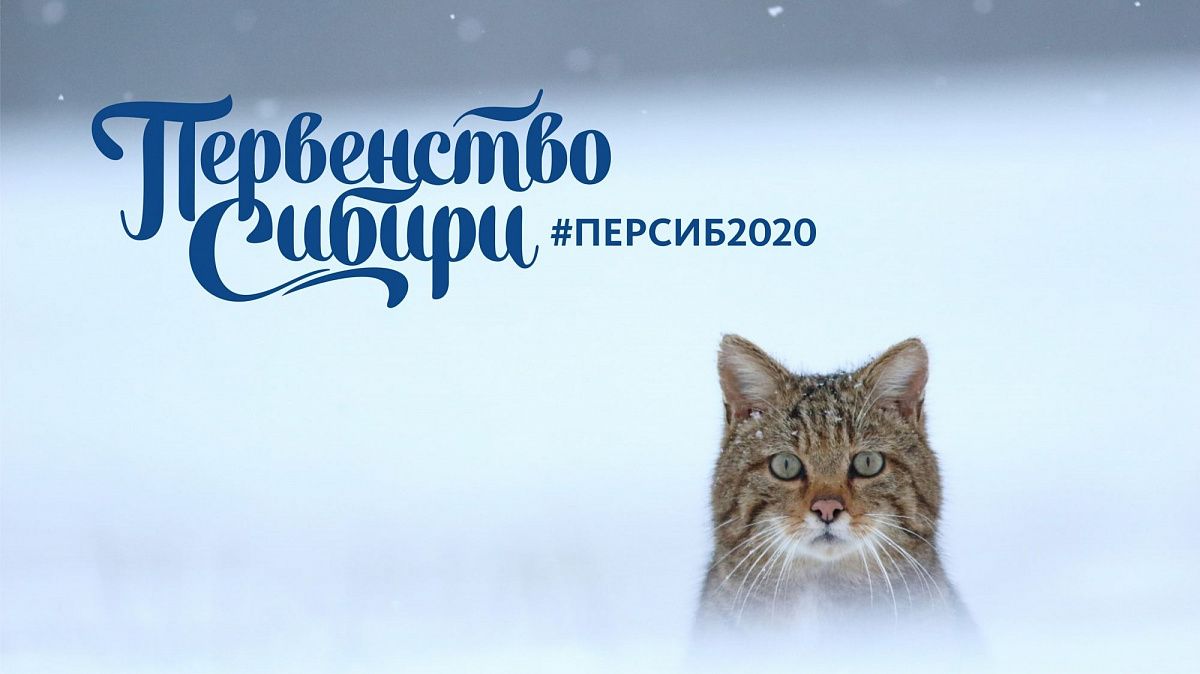 Первенство Сибири 2020